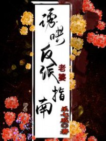 �պ巴������ָ��