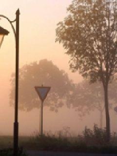 �㾶���ǻ�